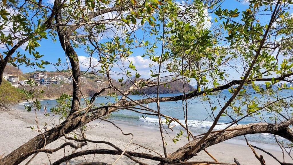 5 Destinos Pet-Friendly en Costa Rica para un fin de semana inolvidable