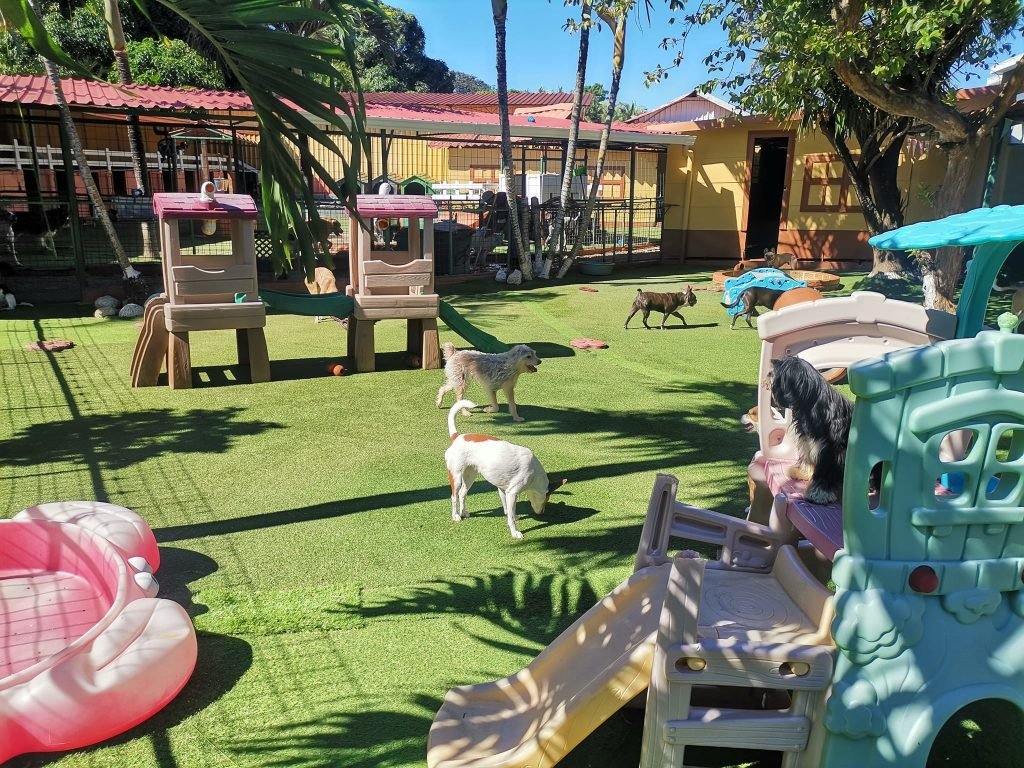 Hotel y guardería para mascotas "Villa de Perros"
