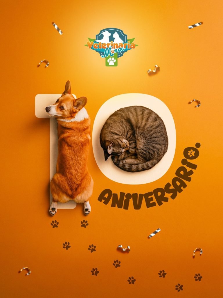 Veterinaria Monge