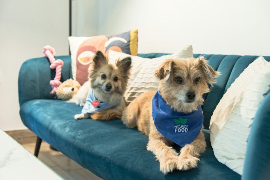 Pets Choice
