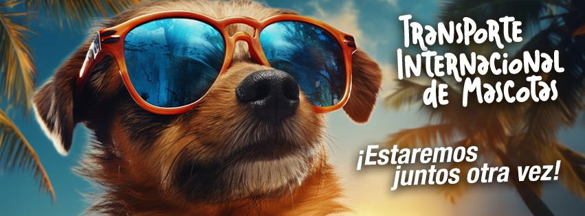 Pets to Home